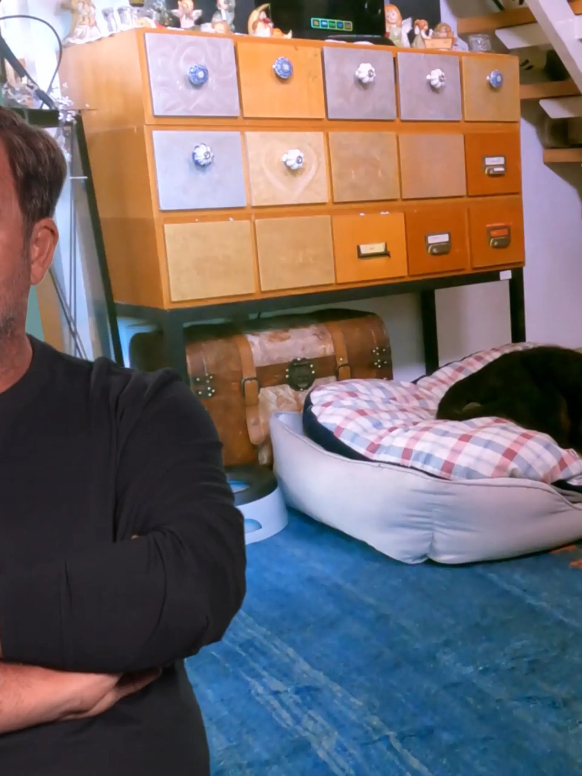 Bild zu: "Wann empfindet Lenny Besucher als Bedrohung?"