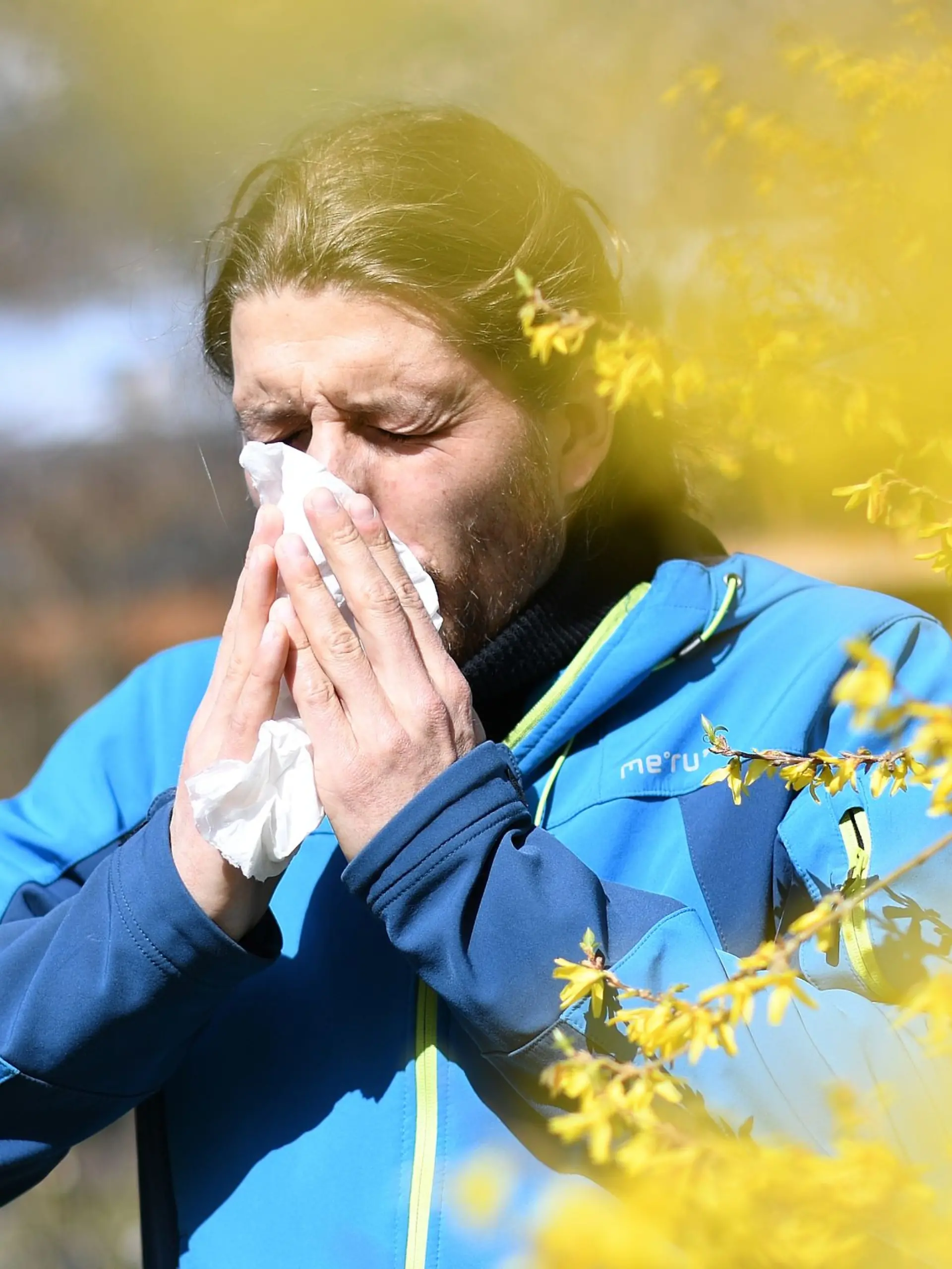 Bild zu: "Die Pollen fliegen! Apps versprechen Hilfe – halten sie, was sie versprechen?"