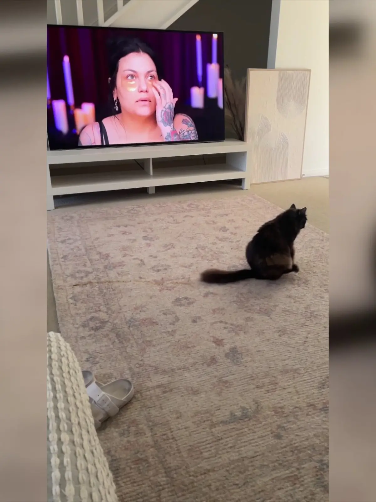 Bild zu: "Stopp, das gibt Bremsspuren! Kater scheißt aufs Katzenklo"