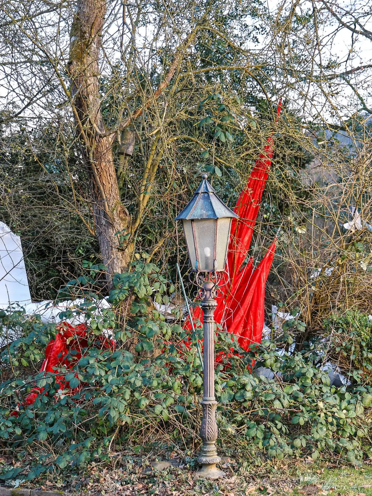 Bild zu: "Kleinflugzeug stürzt in Garten – Pilot stirbt
"