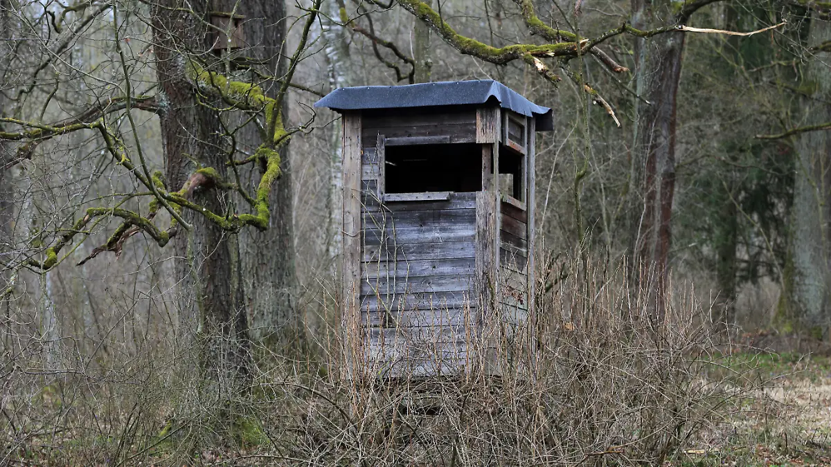 Hochsitz im Wald im Winter