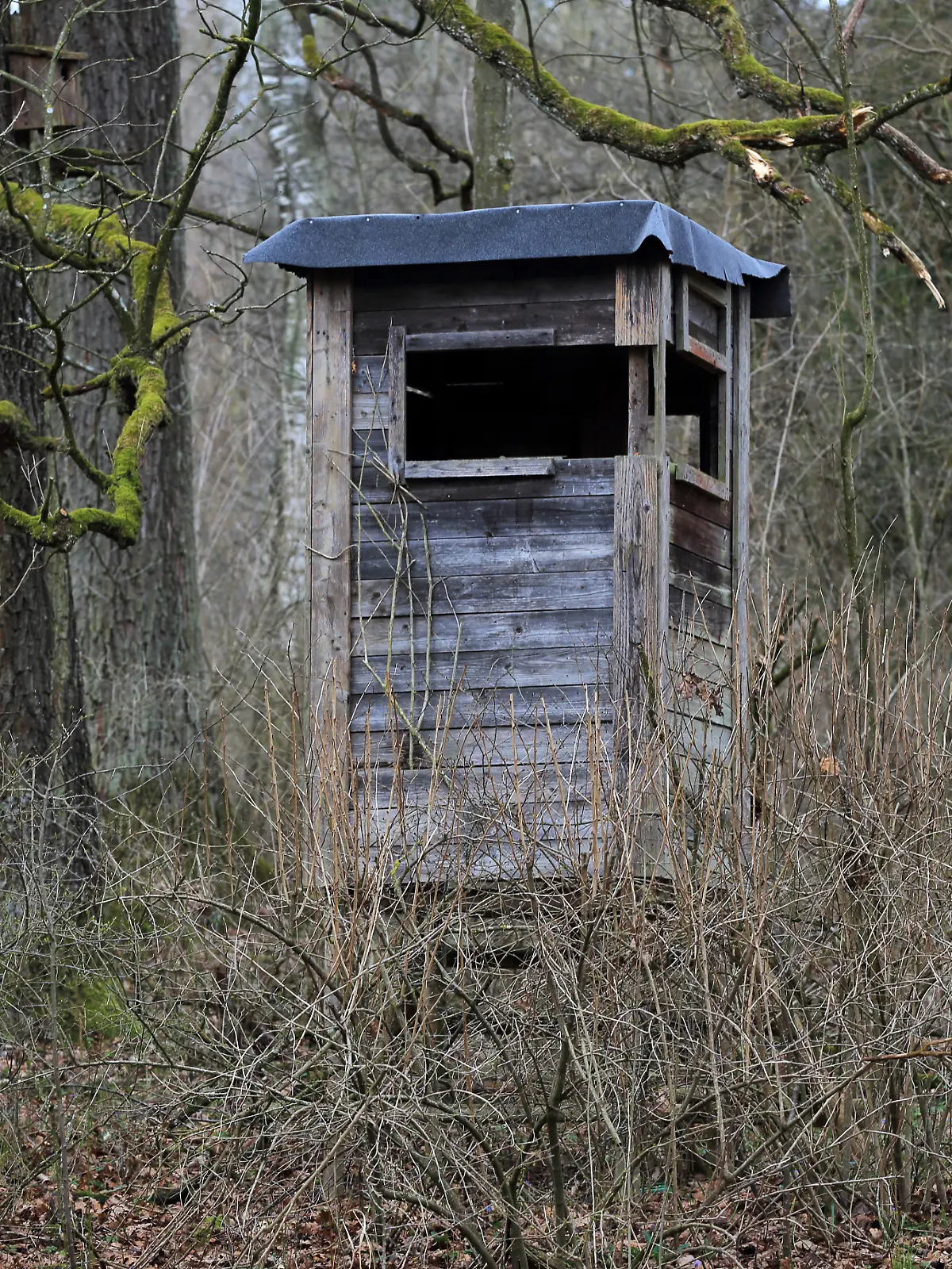Hochsitz im Wald im Winter