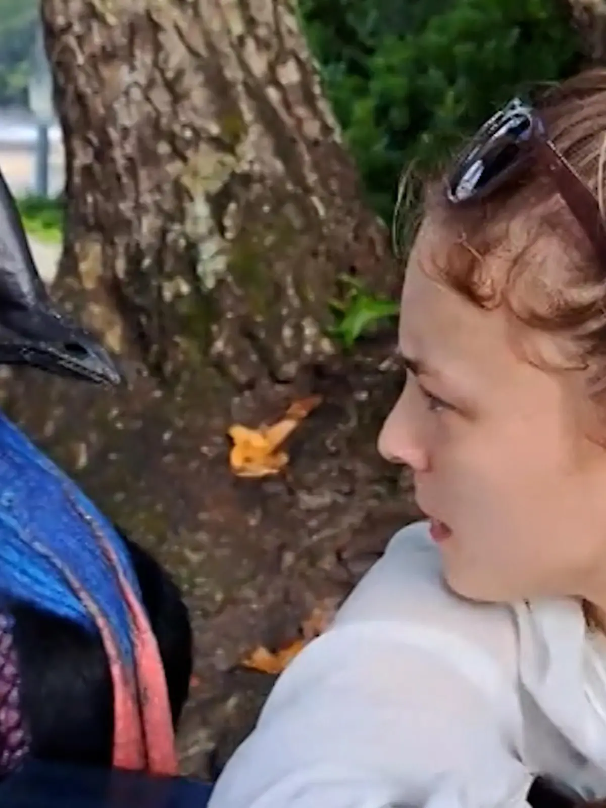 Ein Kasuar und eine junge Frau sehen sich an.