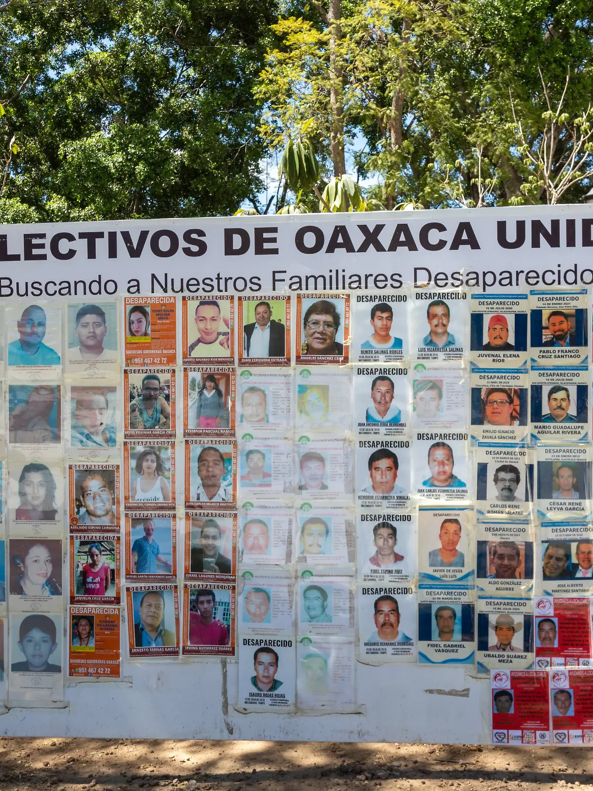 Oaxaca, Mexiko: Auf einer Plakatwand auf dem Zocalo sind die Gesichter von verschwundenen Personen zu sehen. Im Laufe der Jahre sind viele durch die Hand von Banden oder korrupter Polizei verschwunden