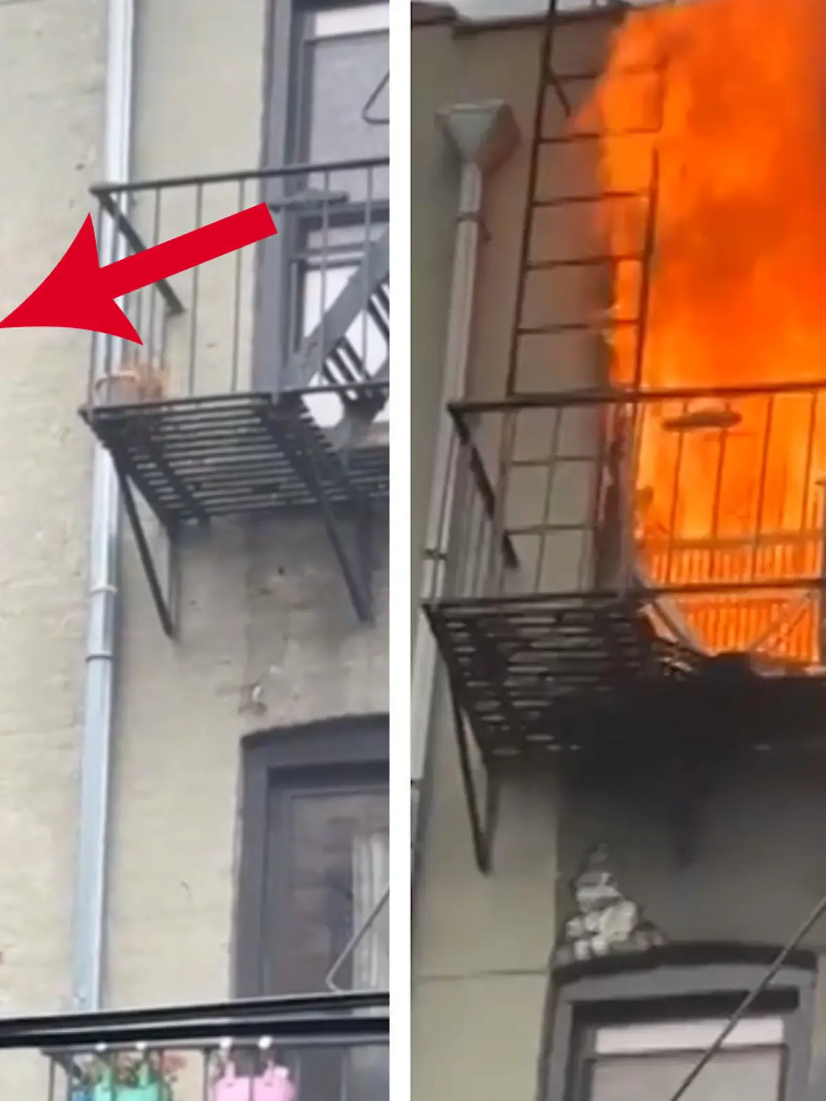 Feuerwehrmann Patrick Gale kam wirklich keine Sekunde zu früh! In einer New Yorker Wohnung ist in der Küche ein Feuer ausgebrochen. Der Bewohner hatte vermutlich keine Zeit mehr, noch rechtzeitig Klamotten anzuziehen und wurde nackt aus seiner Wohnung gerettet. Die spektakuläre Rettung gibt es im Video zu sehen.