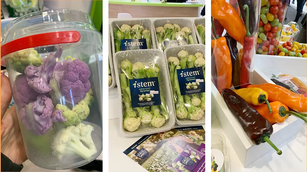 Fruit Logistica 2022