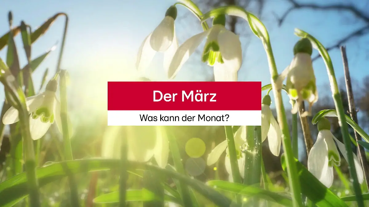 Tod von Matilde Lorenzi (19) Ihr Freund Federico Tomasoni war bis zum