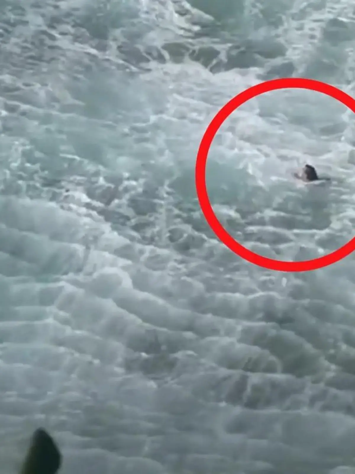 Bild zu: "Plötzlich in Lebensgefahr – weil Schwimmer DAS unterschätzen"