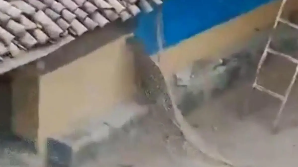 Leopard flieht aus Falle – und versetzt Dorf in Panik Raus aus meinem Haus!