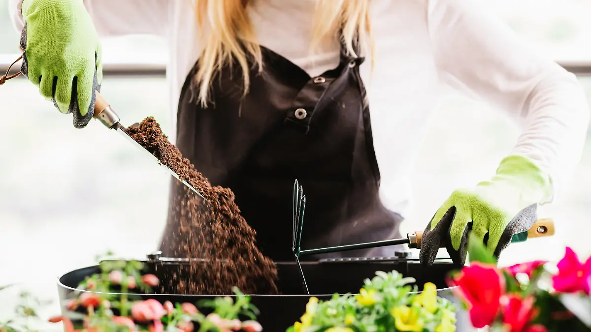 Wegen Klimaschutzprogramm 2030: Torf-Blumenerde vor dem Aus.
