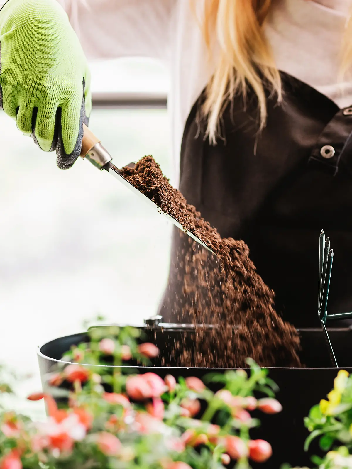 Wegen Klimaschutzprogramm 2030: Torf-Blumenerde vor dem Aus.