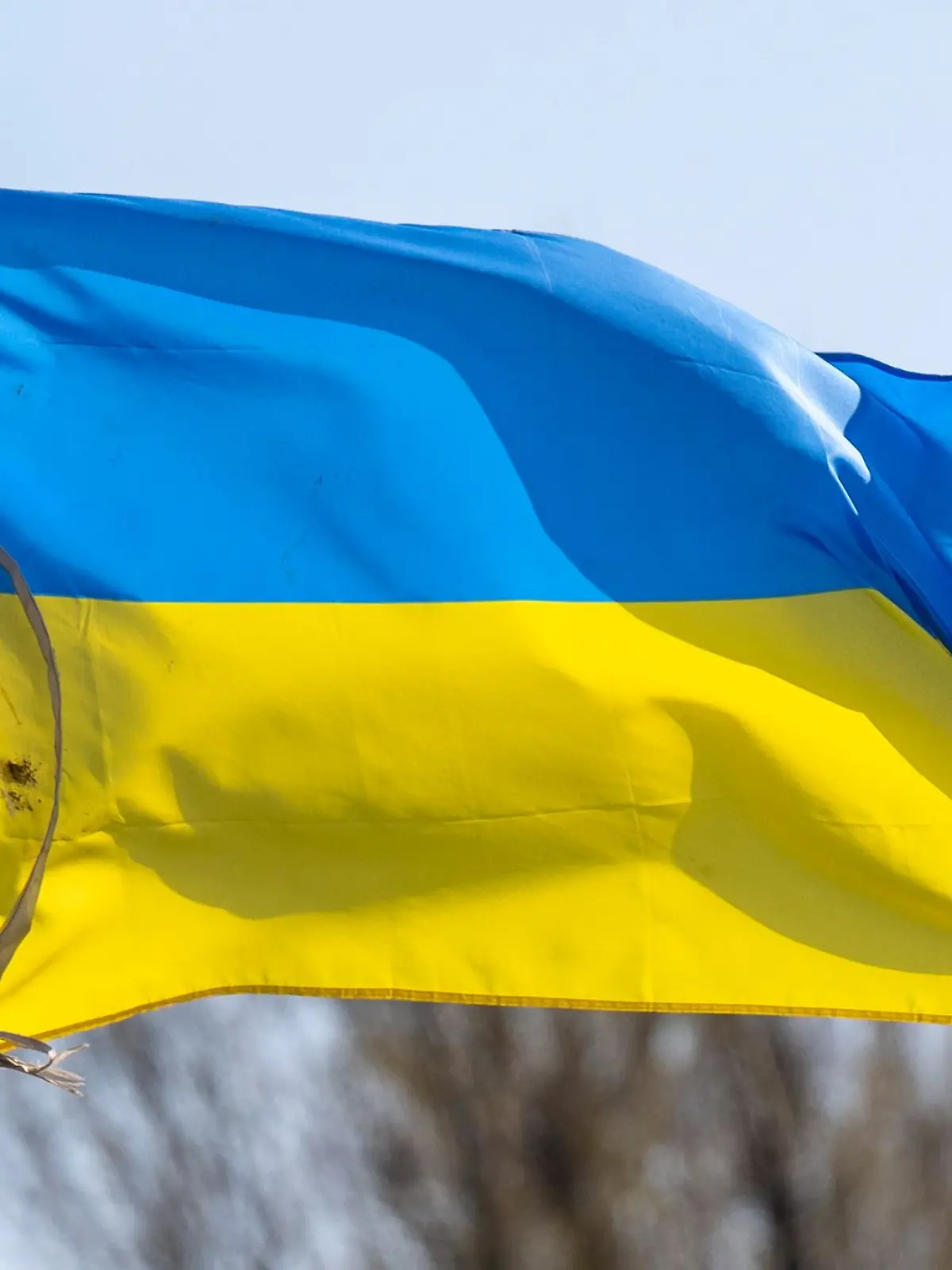 Bild zu: "„Russland ist Gewinner des Iran-Kriegs“"