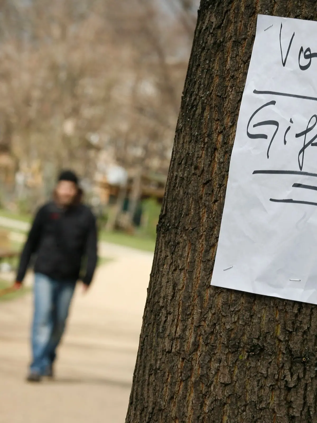 Bild zu: "Hunde beim Gassigehen in Schleswig-Holstein vergiftet – Polizei ermittelt"