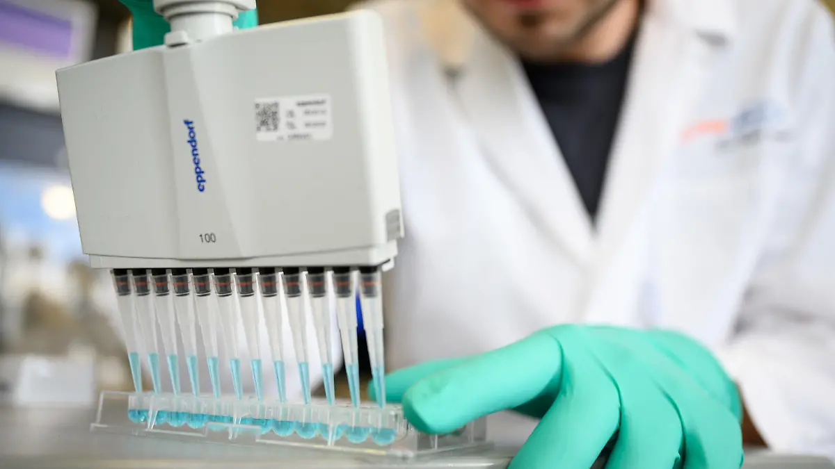 ARCHIV - 24.02.2020, Baden-Württemberg, Tübingen: Ein Mann pipettiert in einem Labor eines biopharmazeutischen Unternehmens eine blaue Flüssigkeit. In den Tarifverhandlungen für rund 580 000 Beschäftigte in der deutschen Chemie- und Pharmaindustrie gibt es zunächst nur einen Teilabschluss. (zu dpa "«Brücken-Tarifvertrag» für Chemie: Einmalzahlung von 1400 Euro") Foto: Sebastian Gollnow/dpa +++ dpa-Bildfunk +++