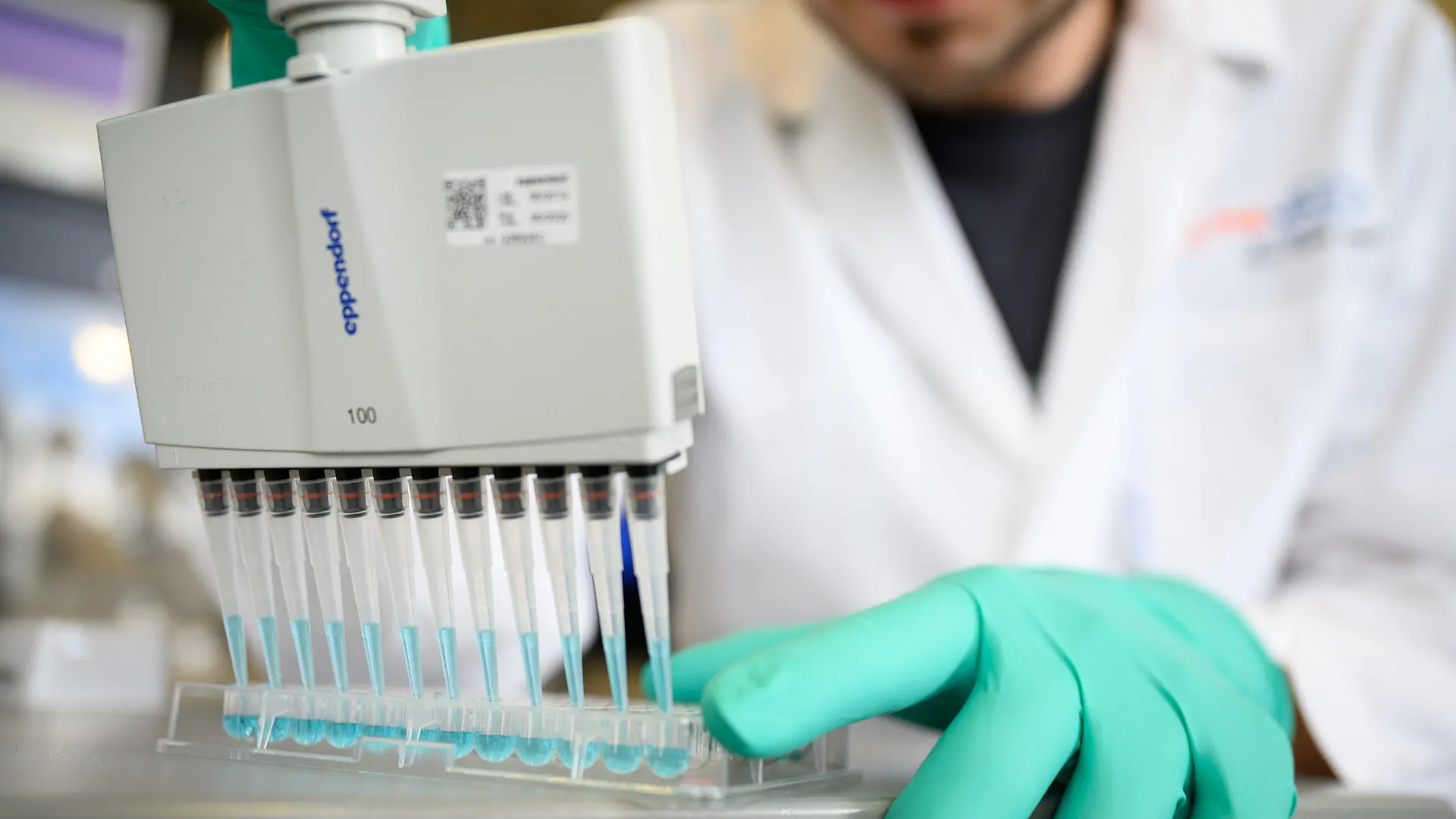 ARCHIV - 24.02.2020, Baden-Württemberg, Tübingen: Ein Mann pipettiert in einem Labor eines biopharmazeutischen Unternehmens eine blaue Flüssigkeit. In den Tarifverhandlungen für rund 580 000 Beschäftigte in der deutschen Chemie- und Pharmaindustrie gibt es zunächst nur einen Teilabschluss. (zu dpa "«Brücken-Tarifvertrag» für Chemie: Einmalzahlung von 1400 Euro") Foto: Sebastian Gollnow/dpa +++ dpa-Bildfunk +++