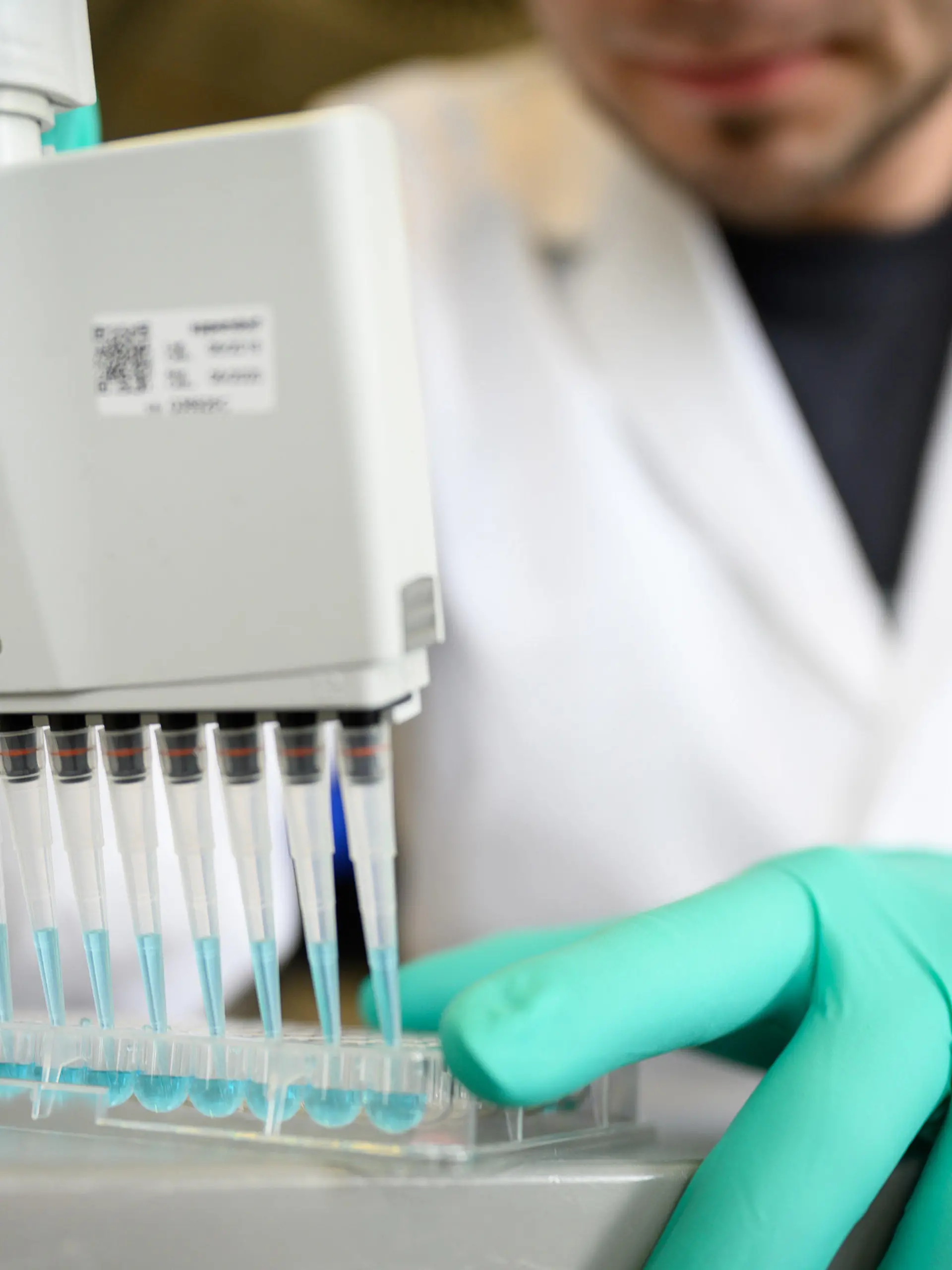 ARCHIV - 24.02.2020, Baden-Württemberg, Tübingen: Ein Mann pipettiert in einem Labor eines biopharmazeutischen Unternehmens eine blaue Flüssigkeit. In den Tarifverhandlungen für rund 580 000 Beschäftigte in der deutschen Chemie- und Pharmaindustrie gibt es zunächst nur einen Teilabschluss. (zu dpa "«Brücken-Tarifvertrag» für Chemie: Einmalzahlung von 1400 Euro") Foto: Sebastian Gollnow/dpa +++ dpa-Bildfunk +++
