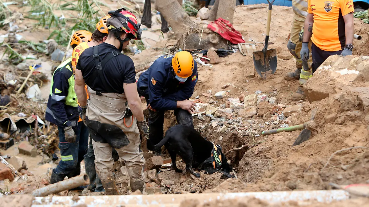 03.11.2024, Spanien, Paiporta: Rettungshelfer suchen mit Hilfe von Spürhunden nach Menschen, die noch verschüttet sind unter Erdmassen in Paiporta bei Valencia in Spanien. Die Zahl der Toten nach den schweren Unwettern im Osten und Süden Spaniens steigt weiter - und viele Menschen gelten weiter als vermisst.