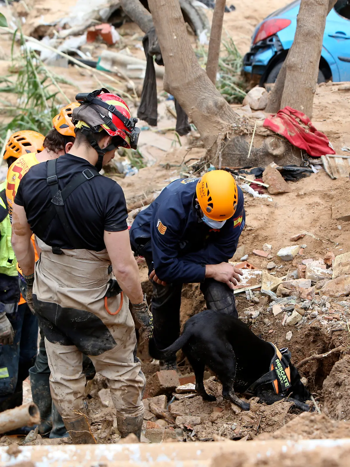 03.11.2024, Spanien, Paiporta: Rettungshelfer suchen mit Hilfe von Spürhunden nach Menschen, die noch verschüttet sind unter Erdmassen in Paiporta bei Valencia in Spanien. Die Zahl der Toten nach den schweren Unwettern im Osten und Süden Spaniens steigt weiter - und viele Menschen gelten weiter als vermisst.