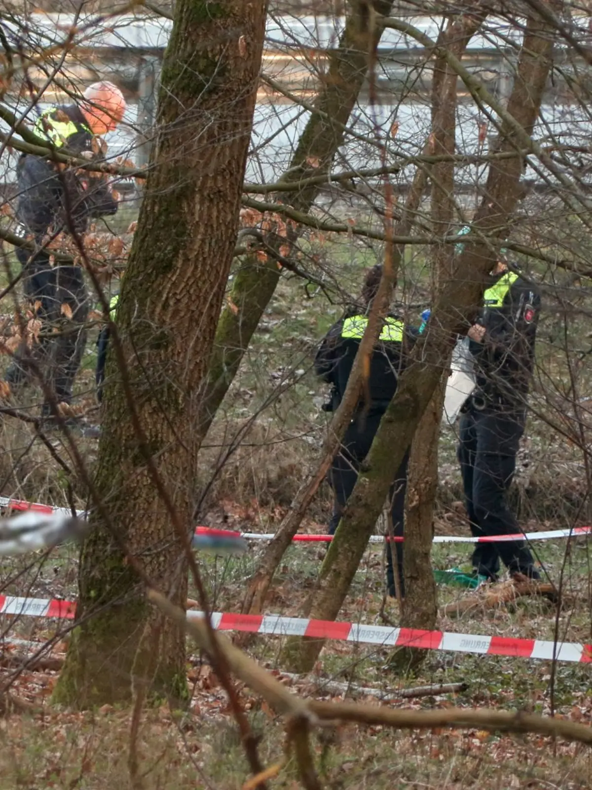 Bild zu: "Schrecklicher Fund an Autobahn – Leiche hinter Wildzaun entdeckt "