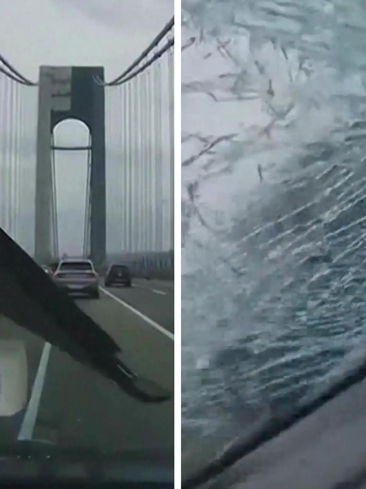 Bild zu: "Brett schießt durch Frontscheibe – Vater verhindert Tragödie"