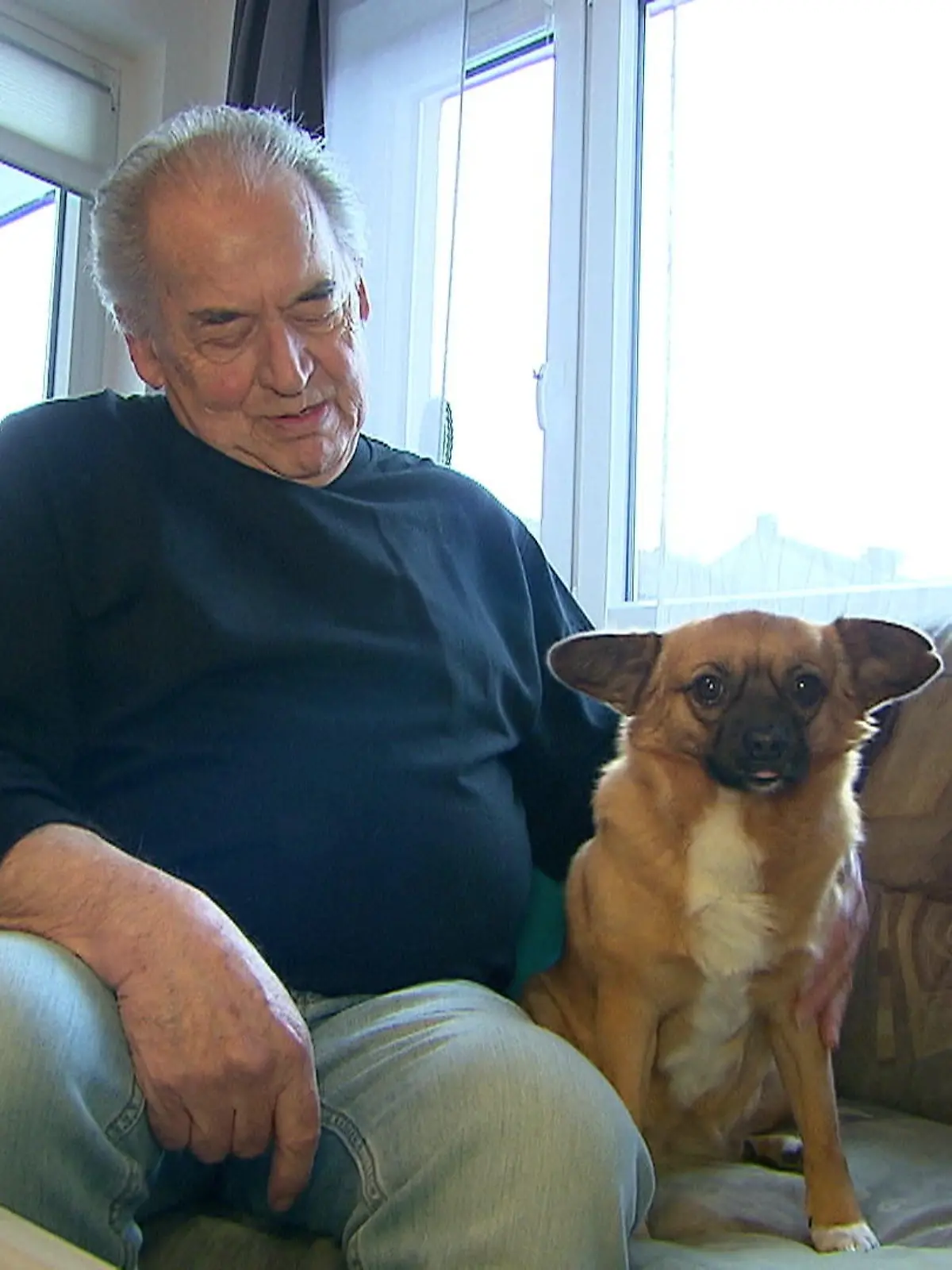 Bild zu: "Rentner bekommt durch Hund neue Lebensqualität"