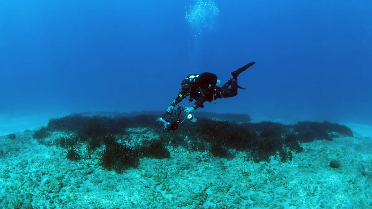 Der Apokoronas Diving Park soll der erste voll lizenzierte Tauchpark Griechenlands sein.