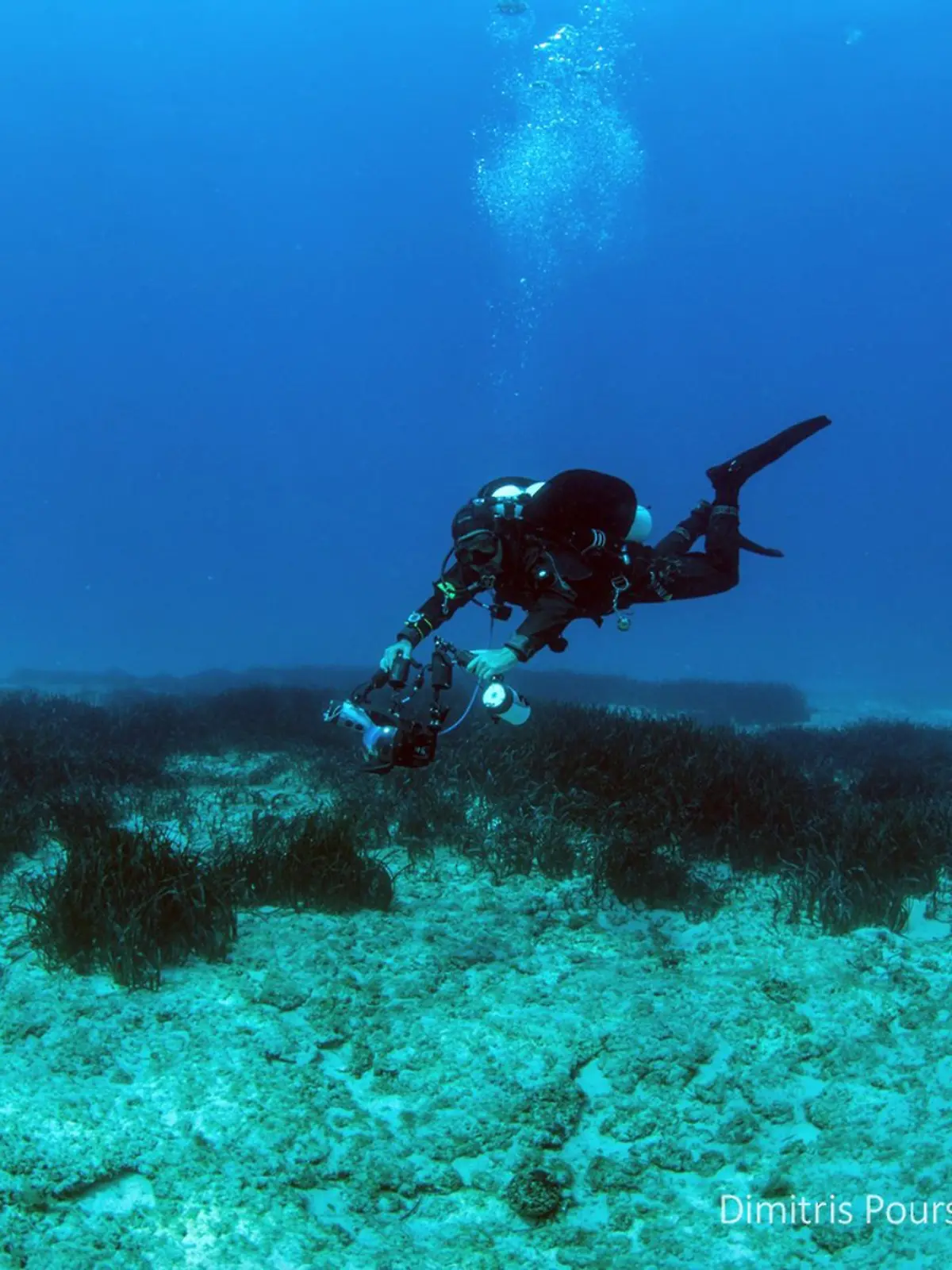 Bild zu: "Taucher stirbt in Unterwasser-Labyrinth"