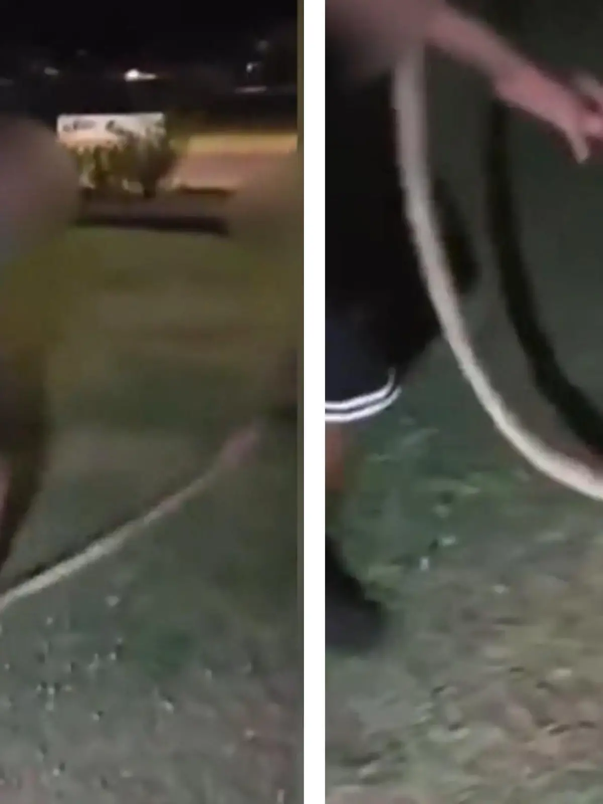 Spiel mit Folgen! Kinder nutzen Schlange als Springseil