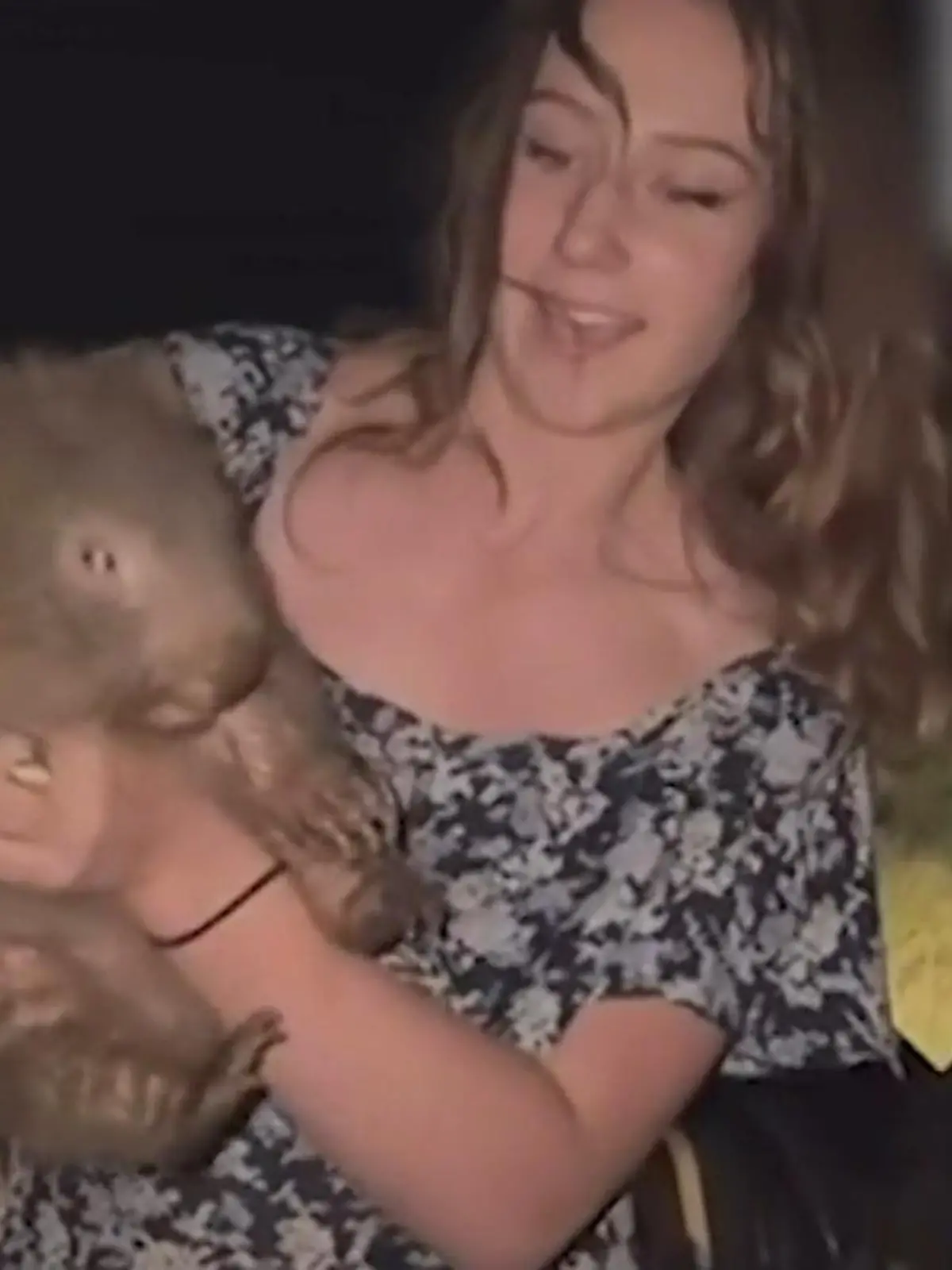 Bild zu: "Nur für Klicks! Influencerin trennt hilfloses Wombat-Baby von seiner Mama"