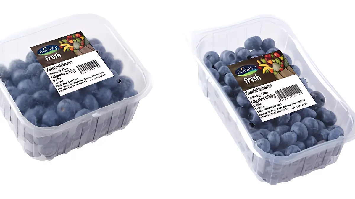 Heidelbeeren von Norma