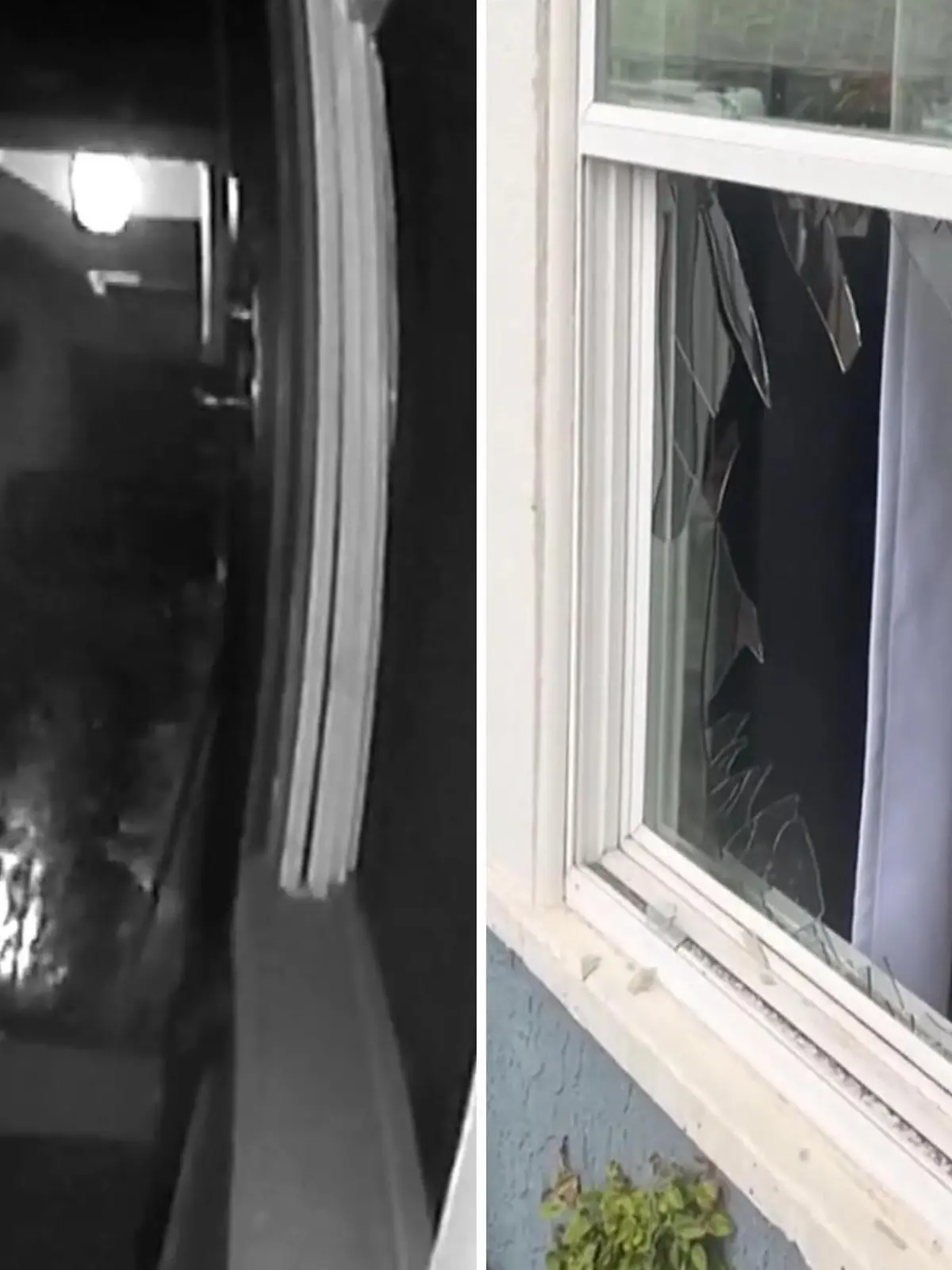 Ein Einbrecher schlägt in einem Ferienhaus in San Diego (USA) mit dem Kopf die Fensterscheibe ein und verschafft sich so Zutritt in das Schlafzimmer. Doch die deutsche Familie, die dort gerade Urlaub macht, ist zu diesem Zeitpunkt zu Hause und zwei Kinder im Alter von sechs und neun Jahren sind im Schlafzimmer.