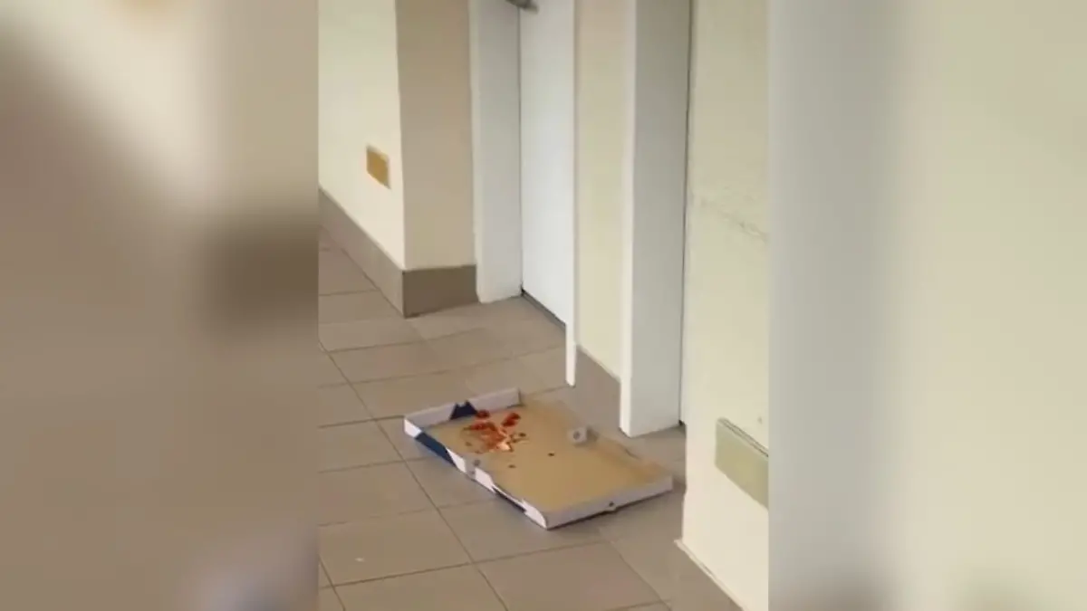 Wer hat die Pizza geklaut? Urlauber schockiert über dreiste Diebe!