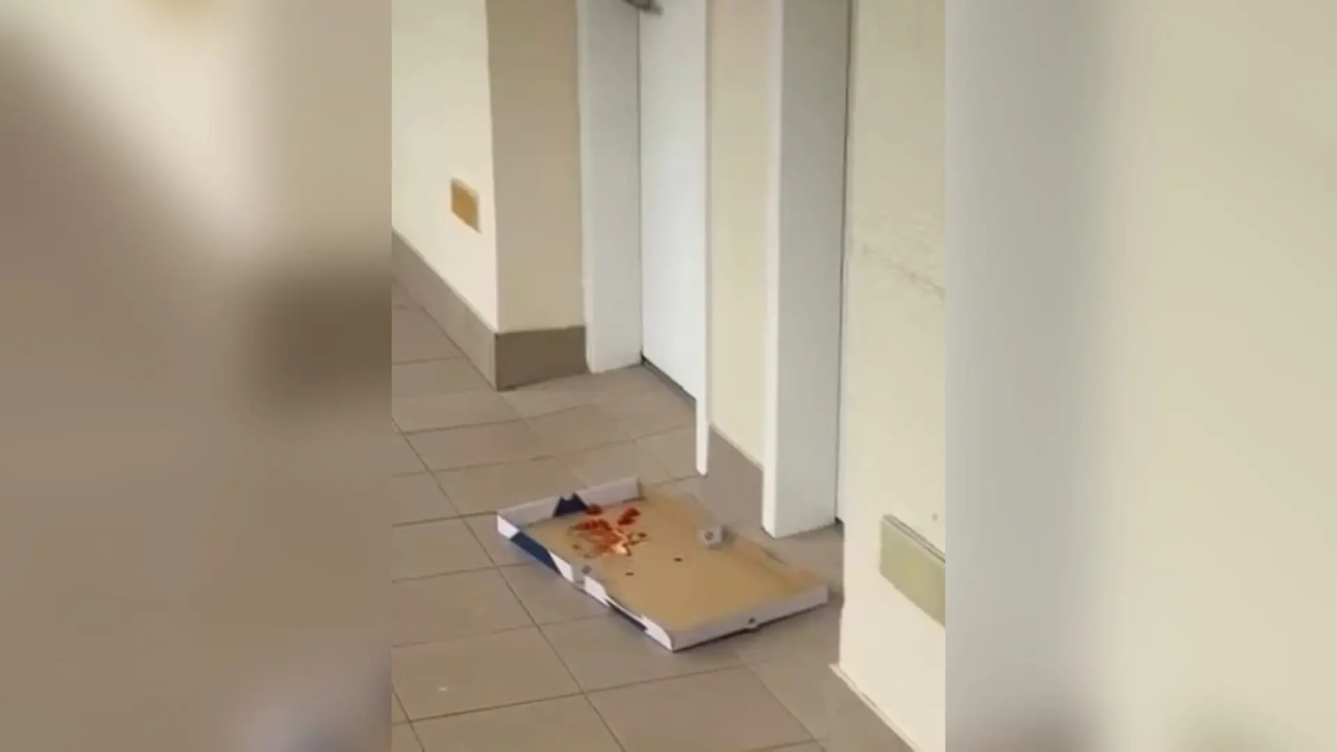 Wer hat die Pizza geklaut? Urlauber schockiert über dreiste Diebe!