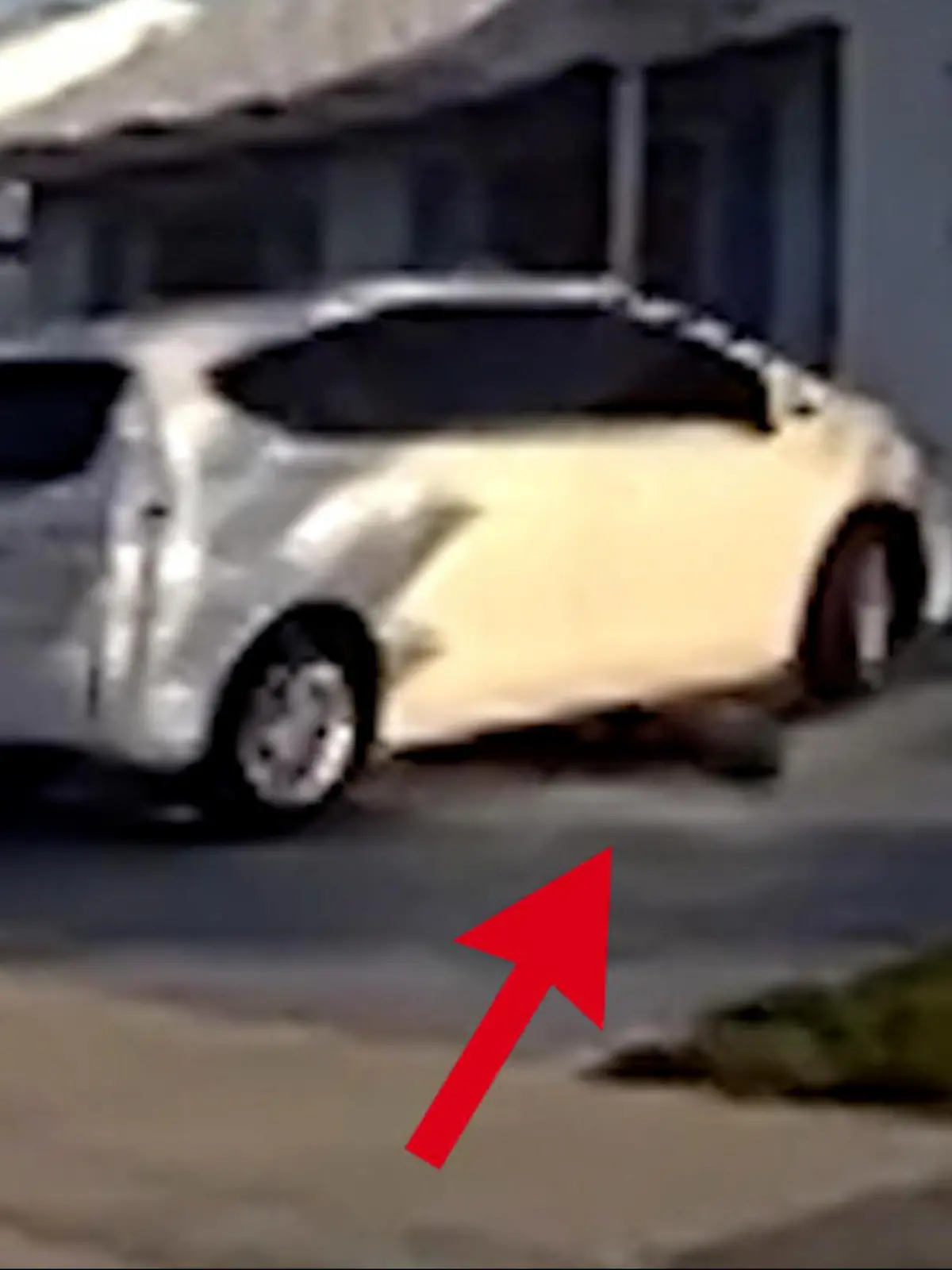 Eine Frau aus Florida (USA) möchte eigentlich nur eine Pizza ausliefern. Doch dann wird sie von einem Polizisten darauf hingewiesen, dass sich unter dem Auto ihrer Kundin ein Alligator versteckt. Der Schock ist groß. Wie die hungrige und ungeduldige Kundin dann doch noch zu ihrer Pizza kommt, erfahrt ihr im Video.