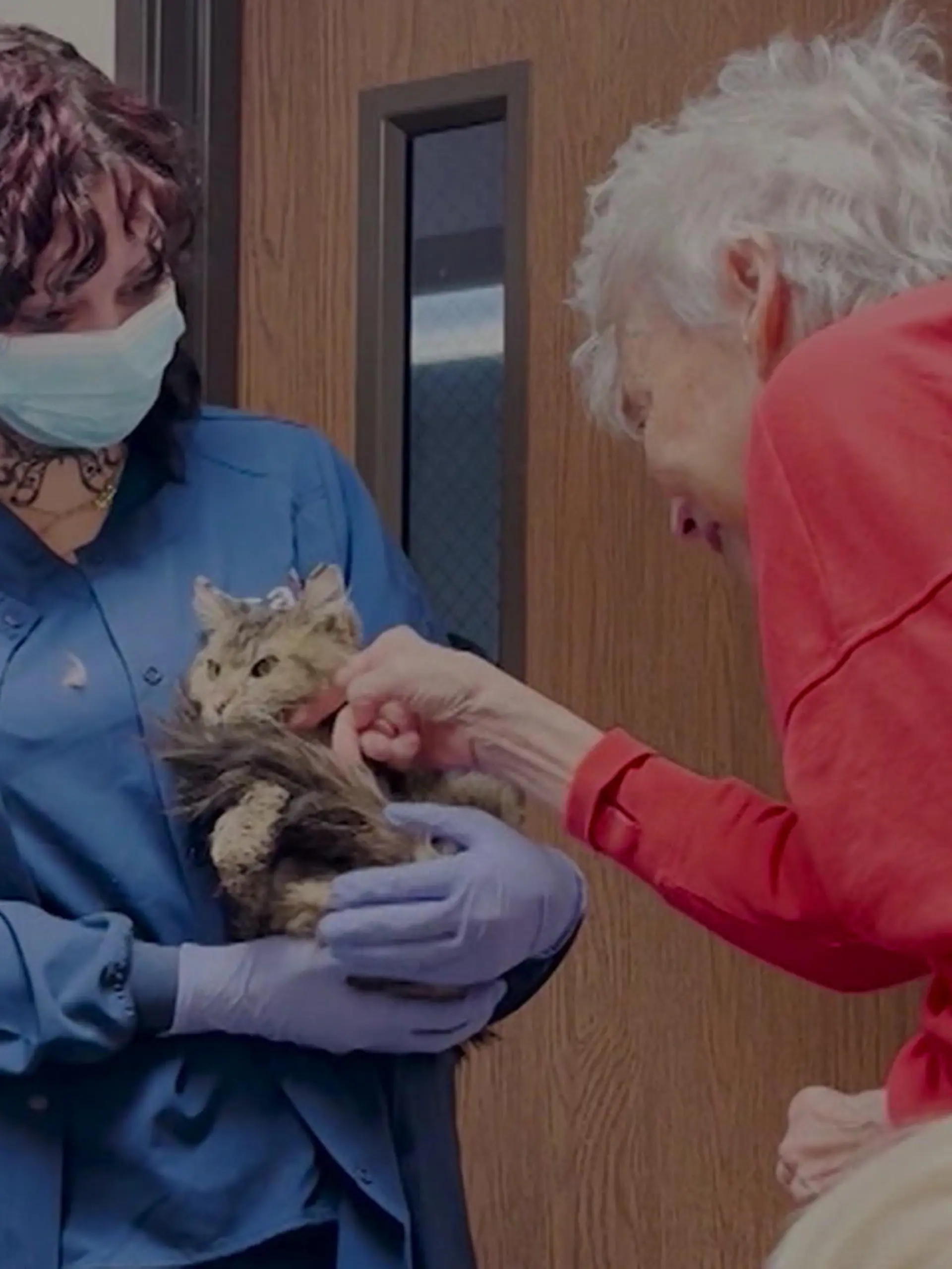 Bild zu: "Katherine (82) kann vermisste Katze wieder in die Arme schließen"