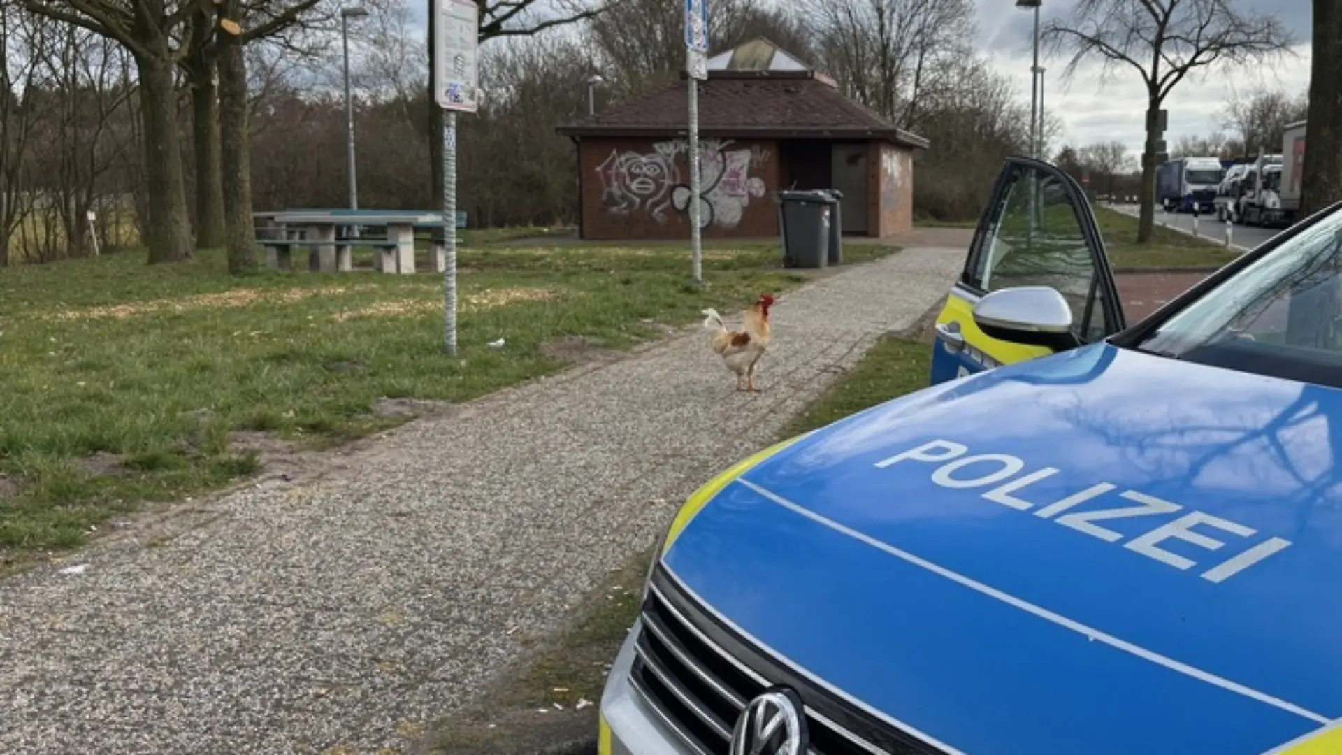 Die Polizei bekommt seit Wochen Anrufe zu Hermann.