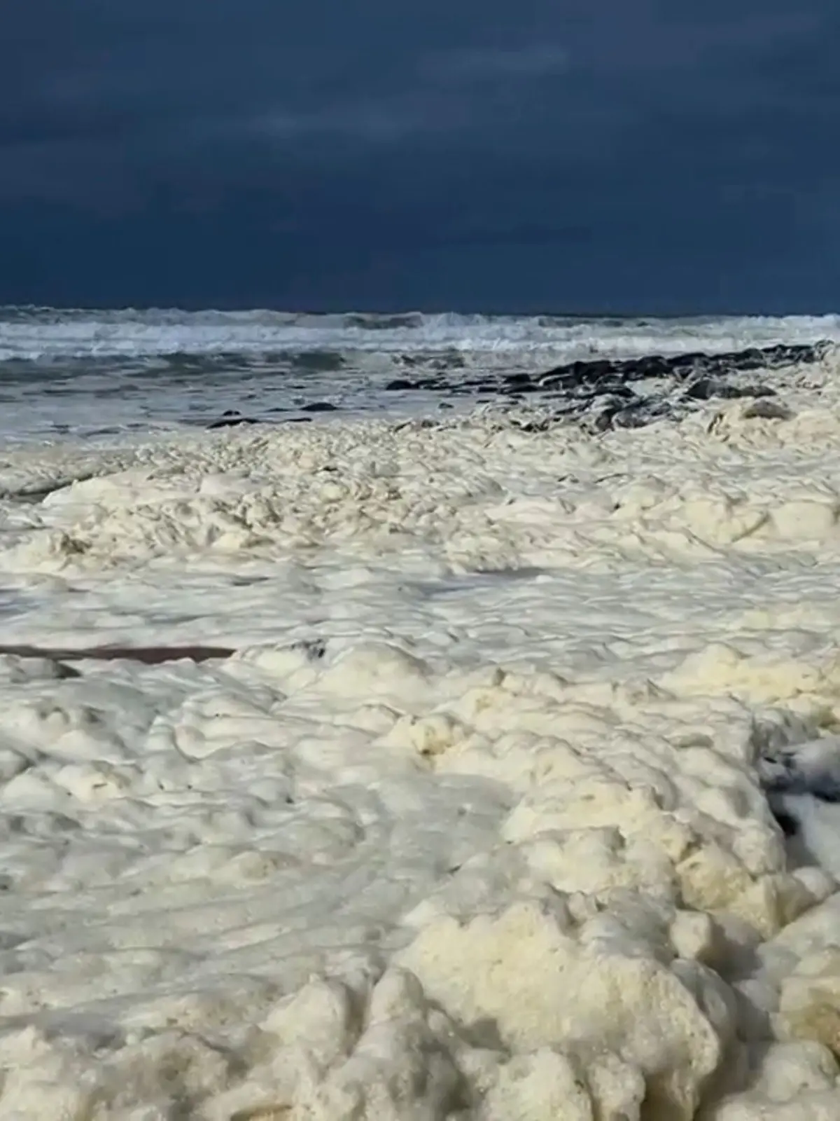 Bild zu: "Gefährlicher Strand! HIER solltet ihr besser nicht baden"