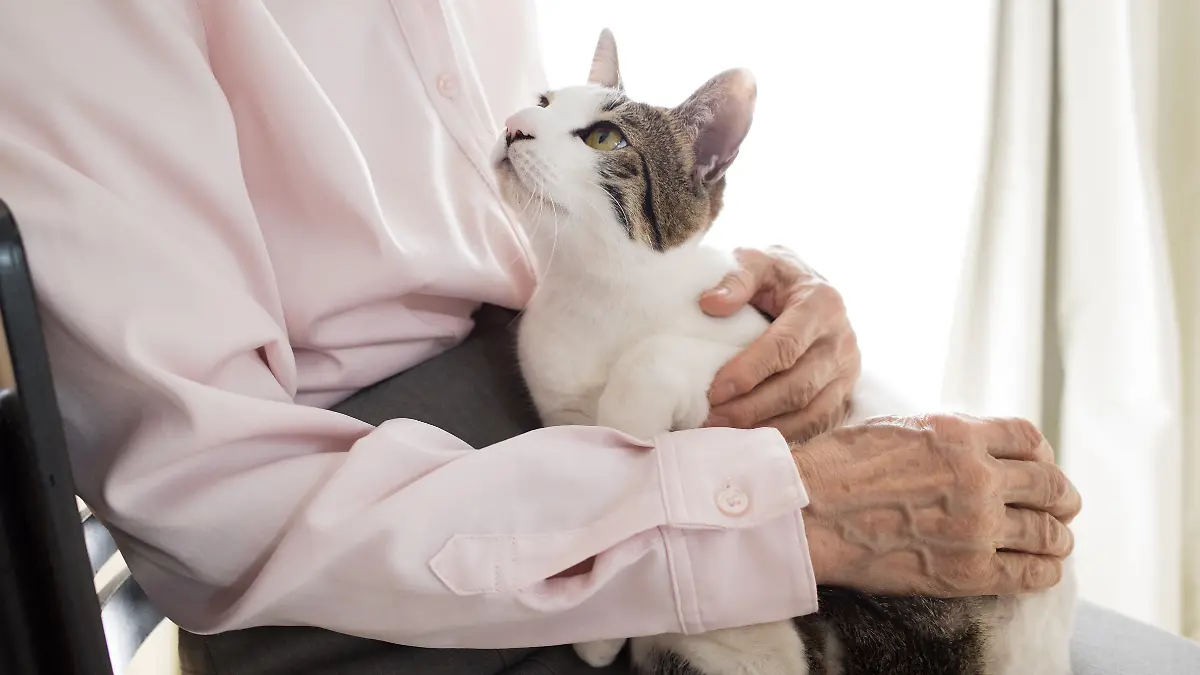 Bekommen ältere Menschen im Tierheim kein Tier?