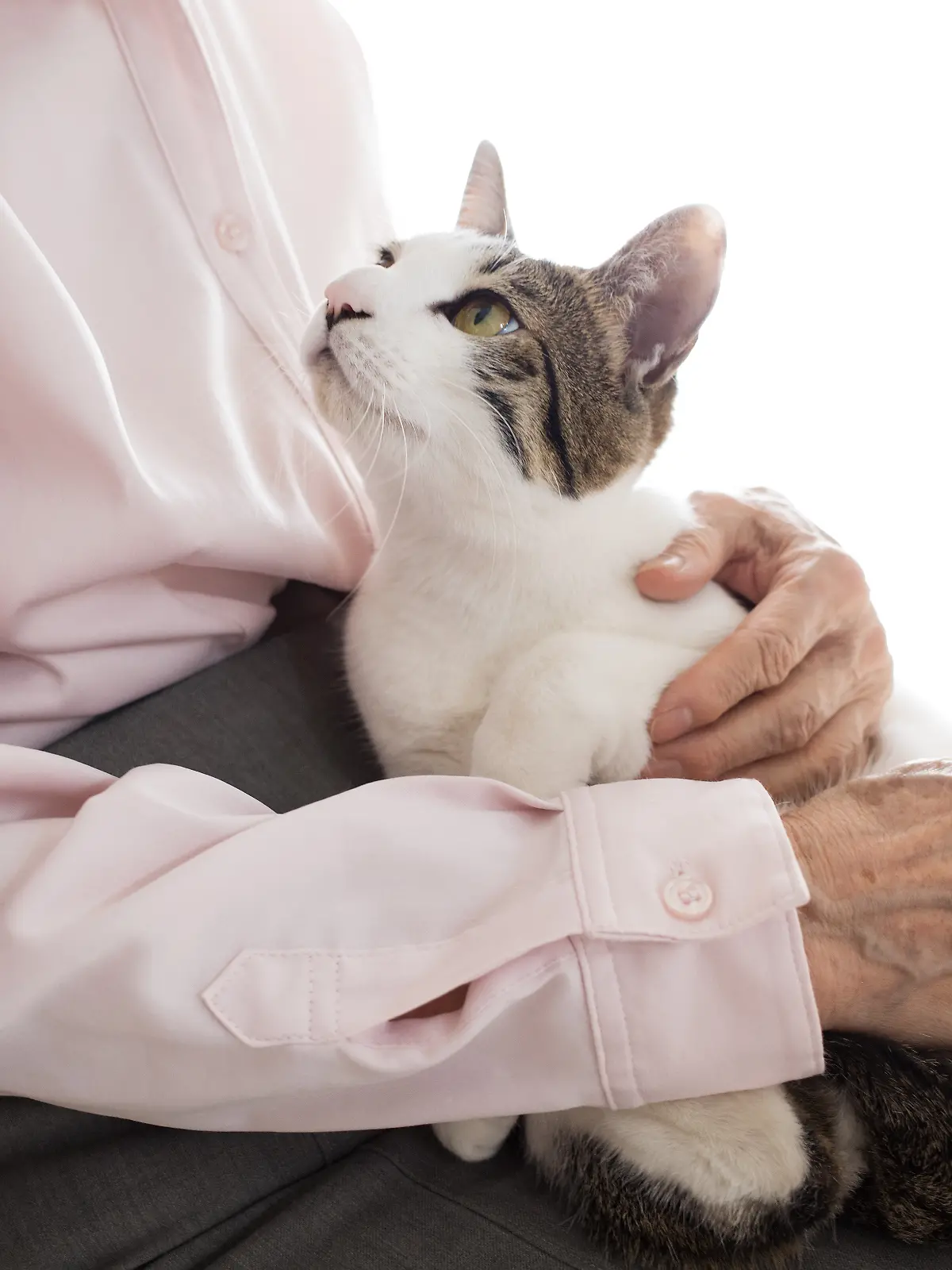 Bekommen ältere Menschen im Tierheim kein Tier?