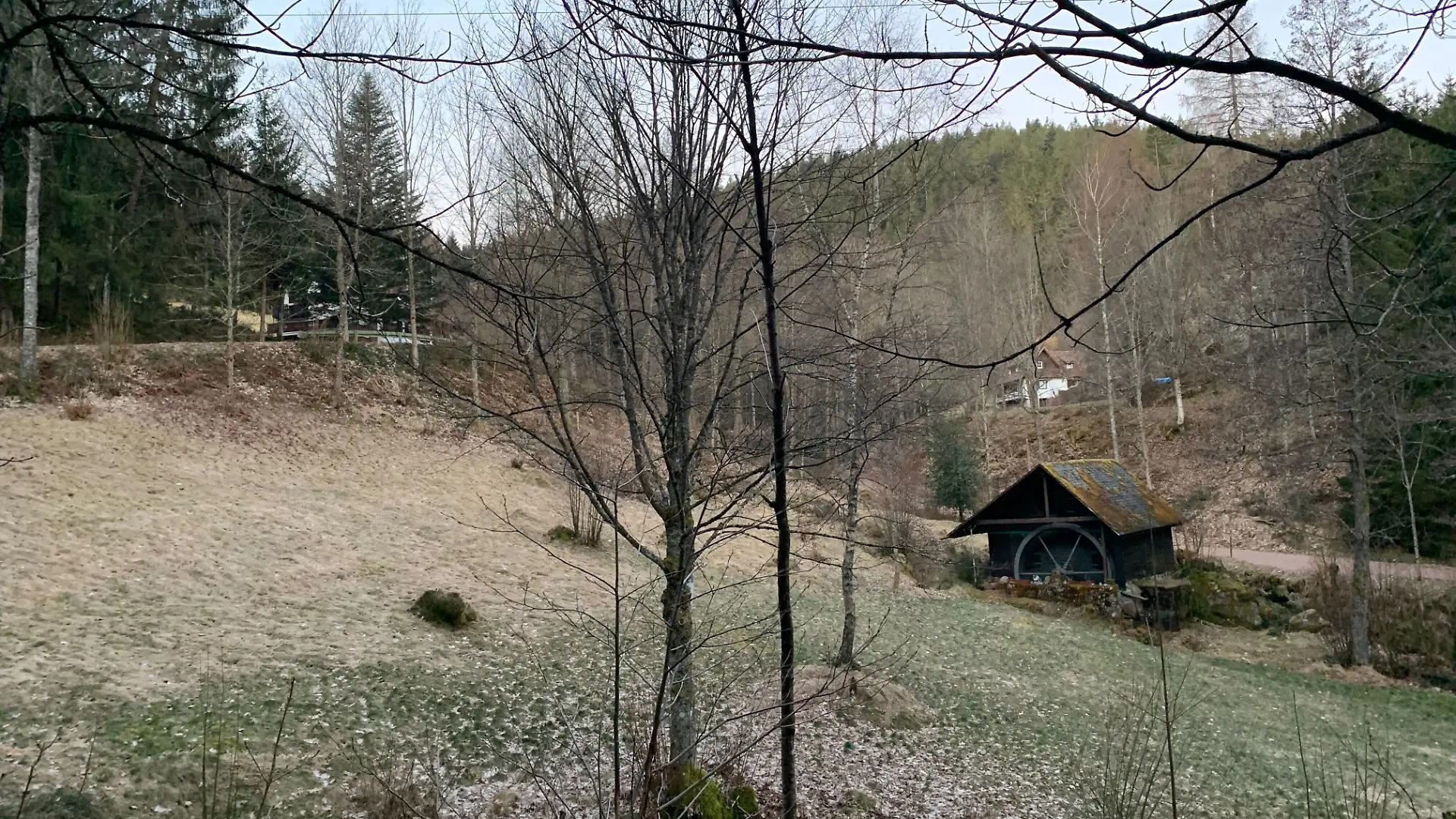 Am Dienstagabend (18. März) großer Aufruhr in Hornberg (Baden-Württemberg): Der Zweijährige ist kurz unbeaufsichtigt und verschwindet beim Spielen auf dem Familiengrundstück. 