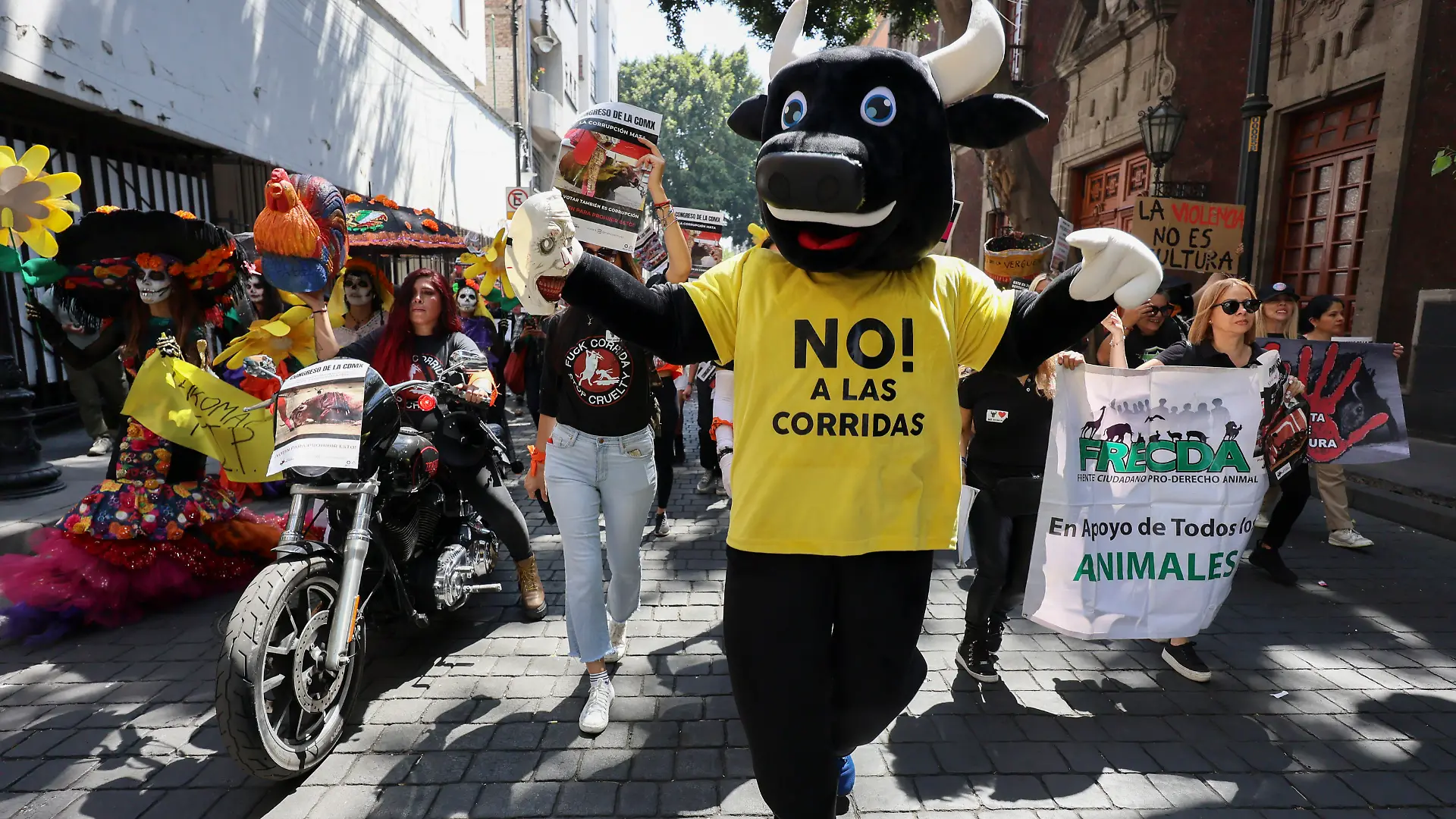Tierschützer bejubeln nach ihren Protesten die Entscheidung des Parlaments.