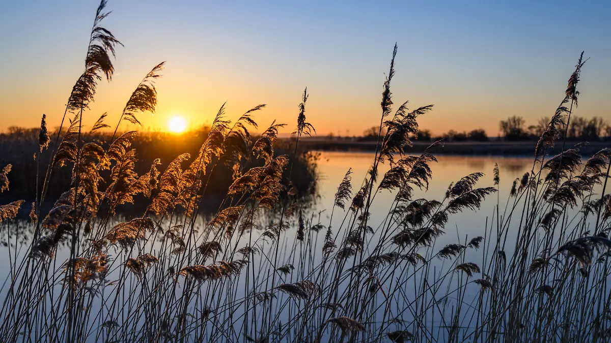 18.03.2025, Brandenburg, Lebus: Das warme Licht vom Sonnenaufgang scheint am frühen Morgen über der Landschaft am Grenzfluss Oder. Unter Hochdruckeinfluss übernimmt in Berlin und Brandenburg immer mehr der Frühling die Regie. Während es nachts zunächst noch immer frostig zugeht, werden die Tage sonnig und zunehmend wärmer, wie der Deutsche Wetterdienst in Potsdam mitteilte. Foto: Patrick Pleul/dpa +++ dpa-Bildfunk +++