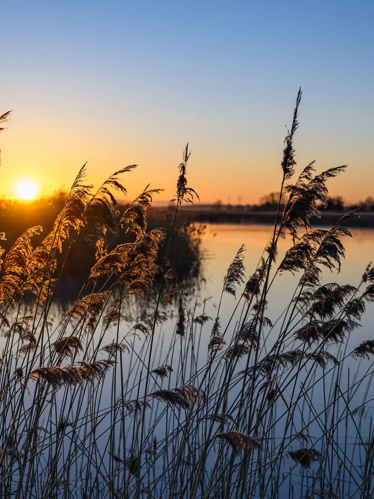 18.03.2025, Brandenburg, Lebus: Das warme Licht vom Sonnenaufgang scheint am frühen Morgen über der Landschaft am Grenzfluss Oder. Unter Hochdruckeinfluss übernimmt in Berlin und Brandenburg immer mehr der Frühling die Regie. Während es nachts zunächst noch immer frostig zugeht, werden die Tage sonnig und zunehmend wärmer, wie der Deutsche Wetterdienst in Potsdam mitteilte. Foto: Patrick Pleul/dpa +++ dpa-Bildfunk +++