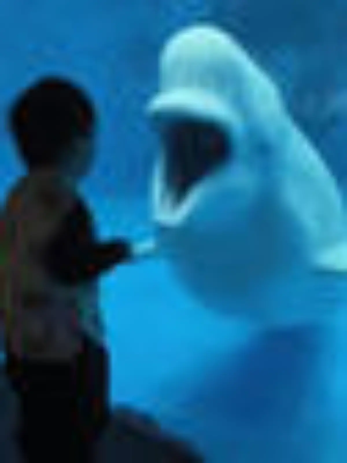 Bild zu: "Meerestier schockt Jungen im Zoo!"