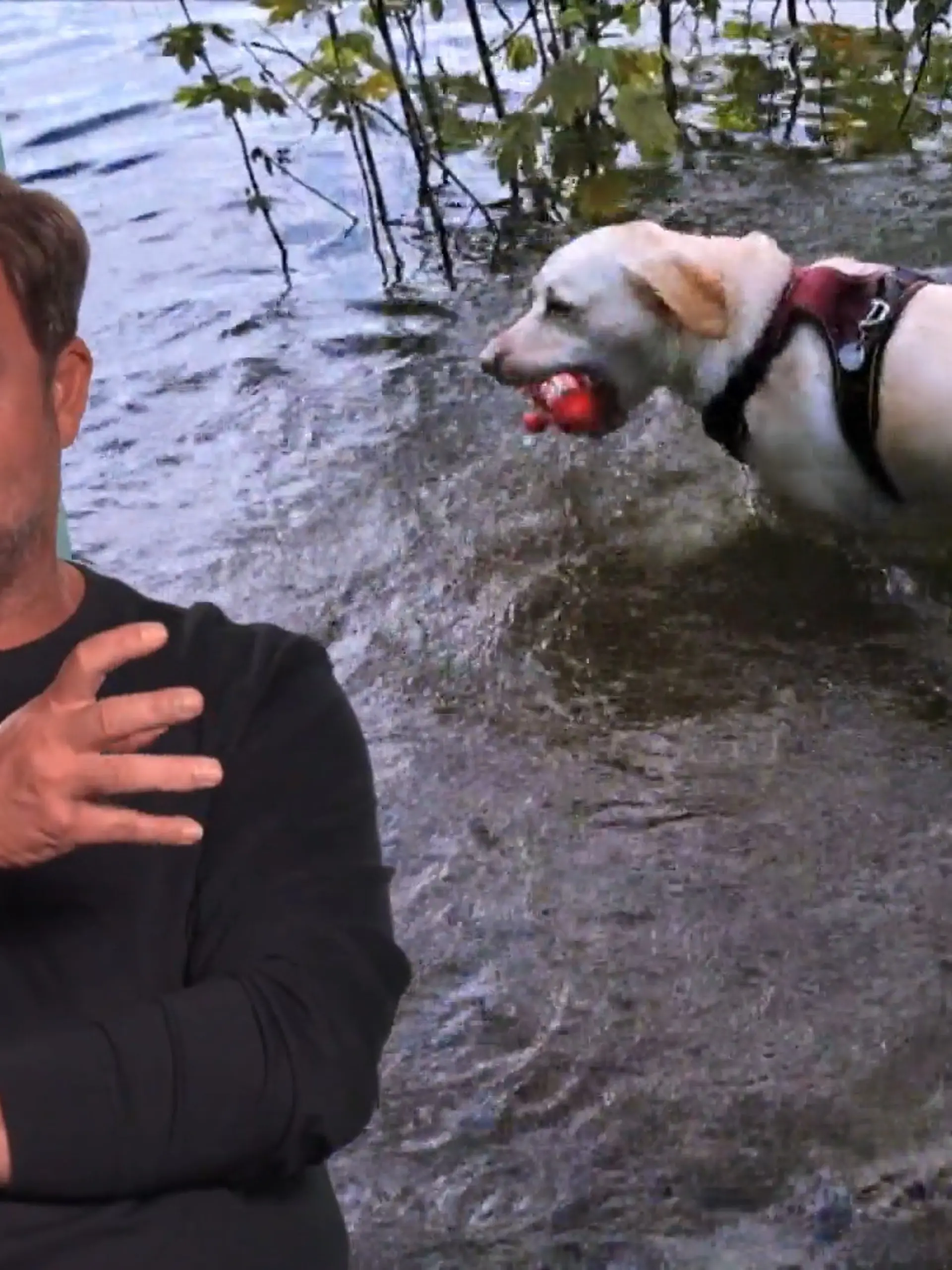 Bild zu: "Wasserjunkie Luna lässt sich nicht aus dem See holen"