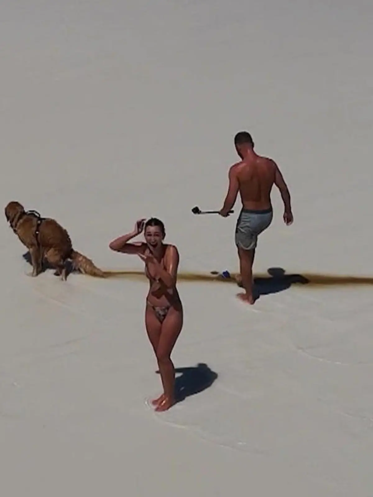 Bild zu: "Wunderwääääh! Hund verkackt Urlaubsvideo"