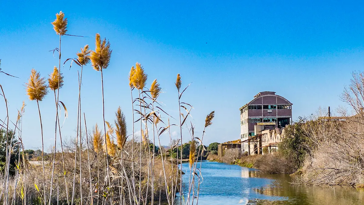 Orbetello: Ein idyllisches Toskana-Paradies, das derzeit unter einer Mückenplage leidet.