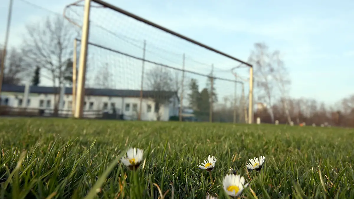  Ein Vater hat einen fremden Jungen geohrfeigt, nachdem der seinen Sohn aus Versehen beim Fußballspiel getroffen hat