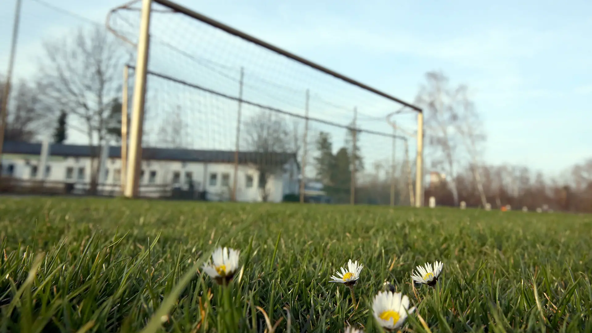  Ein Vater hat einen fremden Jungen geohrfeigt, nachdem der seinen Sohn aus Versehen beim Fußballspiel getroffen hat