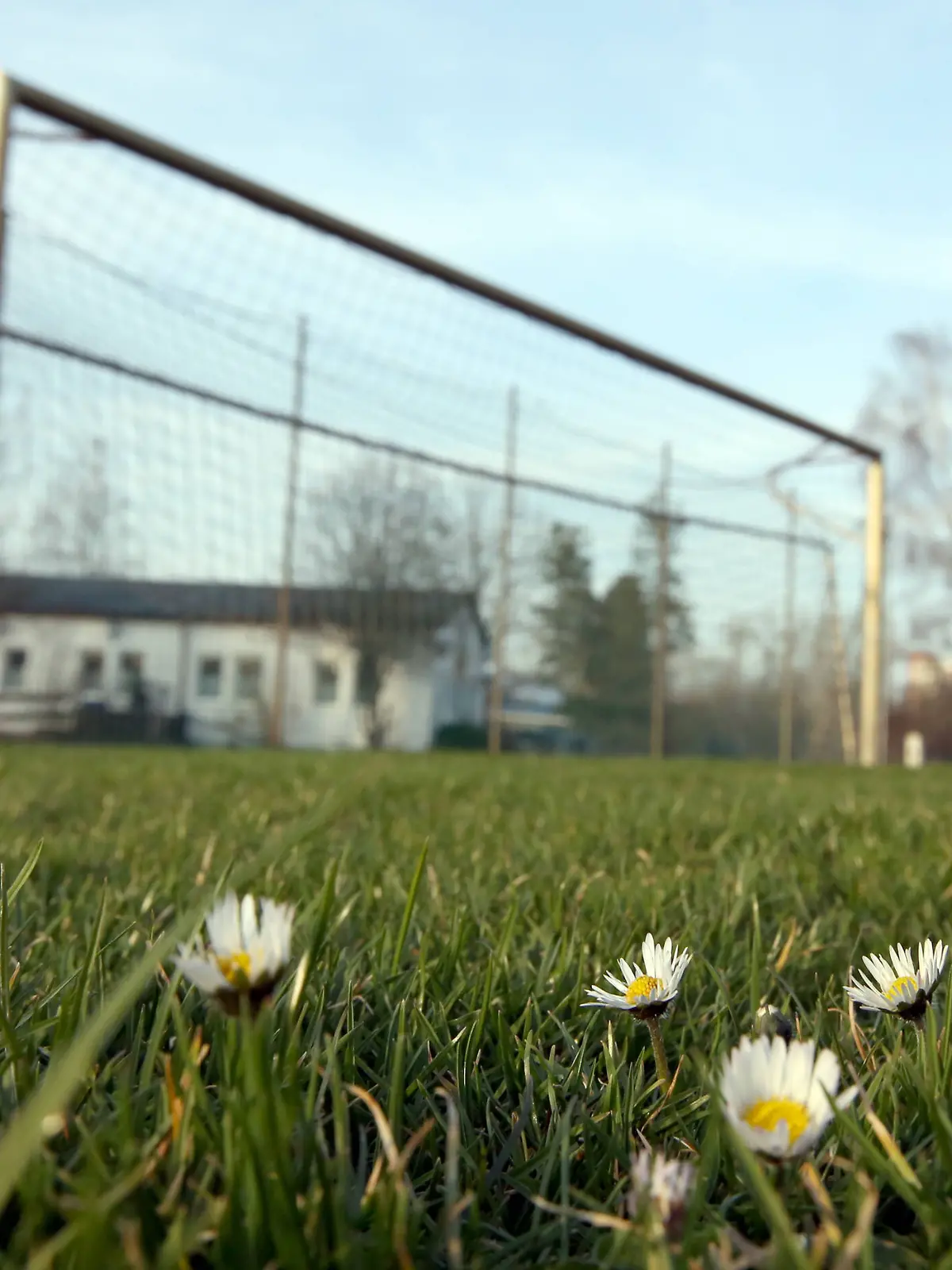  Ein Vater hat einen fremden Jungen geohrfeigt, nachdem der seinen Sohn aus Versehen beim Fußballspiel getroffen hat